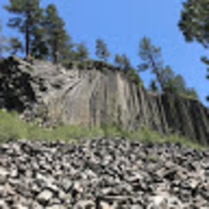 Meet your Posher, Gavin